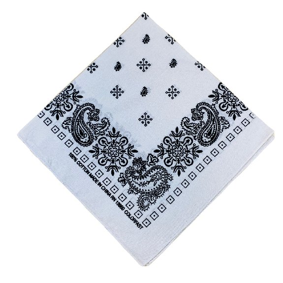 BANDANA--White Paisley Print